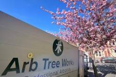 2d79a128-7e1e-410f-8b6e-650929a2c588