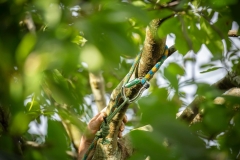 336b3d14-8df1-4641-8410-5c6b4ab4331d-Copy