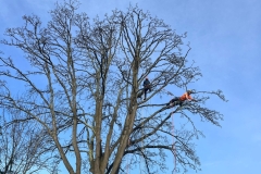 466284c7-4f71-431a-a0ea-f05043f406f9