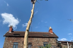 53d257d0-c2ff-4853-9ac1-edd7ad414ffa