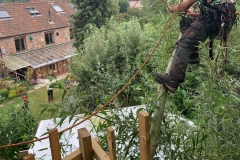 688b3a74-6139-4098-b85d-ff9cbeb72cb9-Copy