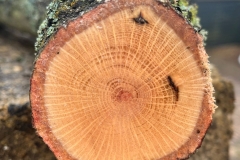 94980bc8-8550-40af-bac2-e1b73e834f90-Copy