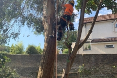 c5d844c7-82d1-4eda-aebe-3776d80d81eb-Copy