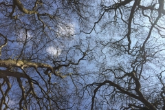 d6e81c00-cf05-43b8-893b-131e0851ece6-Copy