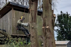 f554b98d-149e-43c5-a9d8-d8aa1923dcca-Copy